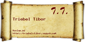 Triebel Tibor névjegykártya